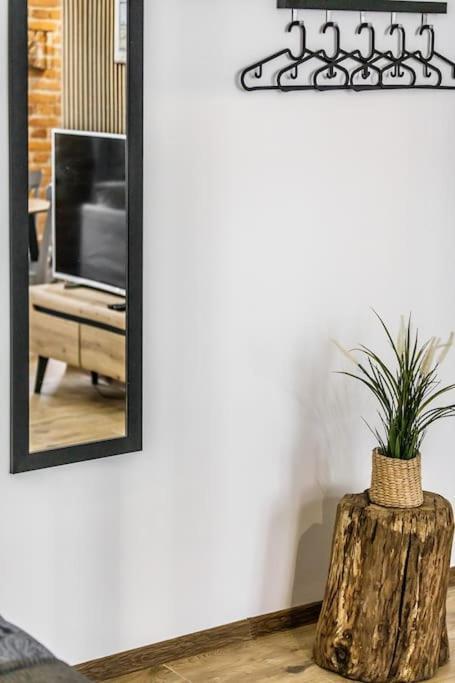 Rzeznicza 24 Apartman Wrocław Kültér fotó